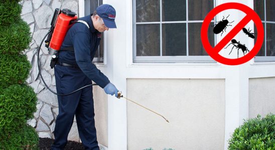 Ulus Dezenfeksiyon böcek ilaçlama ve haşere kontrolü — ilaclama-tr.com